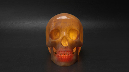 high poly anatomically correct render of human skull