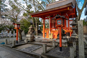 Fototapeta premium 京都 安井金比羅宮の桜と春景色