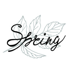 The inscription Spring on the background of plant leaves. Perfect for themed spring decor and decoration.