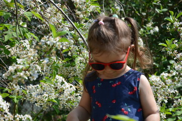 A beautiful girl stands among the flowering trees. Lovely cute little girl in red sunglasses spring blooming garden a tree with white flowers. Happy childhood, the awakening of nature Portrait Romance