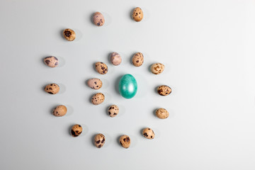 One glossy painted turquoise Easter egg and quail eggs laid out spirally around it on light grey.