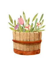 Wooden barrel with pink, red, yellow flowers - watercolor illustration. Decorative composition perfect graphics for garden party invitations, print, greeting cards, wrapping paper.