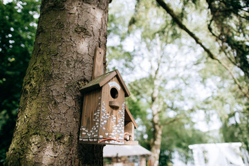 Beautiful birdhouse on tree in the park, handmade decoration