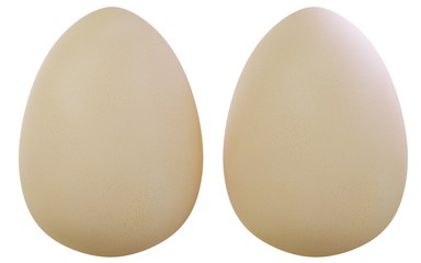 Two Eggs