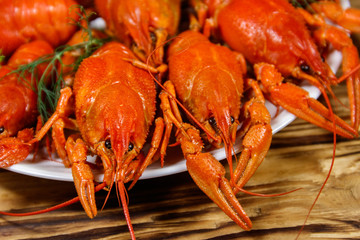 Boiled crayfish in plate on wooden table