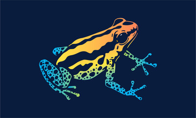 rainforest frog on dark background