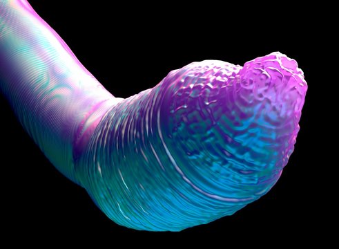3d illustration - C.Elegans Worm