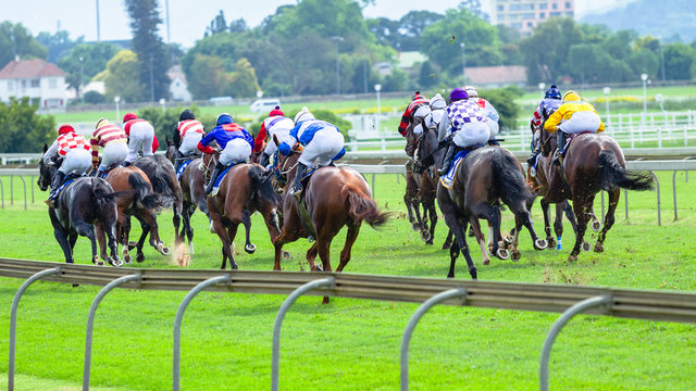 Horse Racing  Jockeys Horses Running Rear Action Grass Track