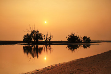 The sunset on the beach among the trees.