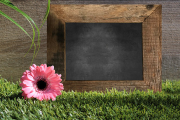 Message de fêtes, tableau noir dans l'herbe