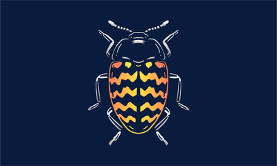 Fototapeta premium zigzag beetle on dark background