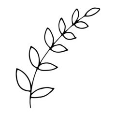 Cute cartoon hand drawn vector doodle illustration. Black outlines Isolated on white background. Decorative flower. Cute decorative elements for seasonal design, printed materials etc