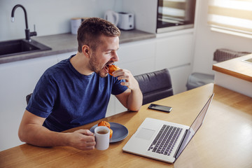 Young handsome bearded man sitting at dinning table, having breakfast and watching news on laptop.