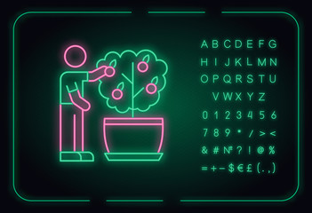 Collecting fruit from mini citrus tree neon light icon. Caring for miniature tree. Thriving plant. Outer glowing effect. Sign with alphabet, numbers and symbols. Vector isolated RGB color illustration