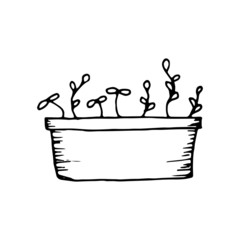 Cute cartoon hand drawn vector doodle illustration. Black outlines Isolated on white background. Decorative pot with flower. Cute decorative elements for seasonal design, printed materials.