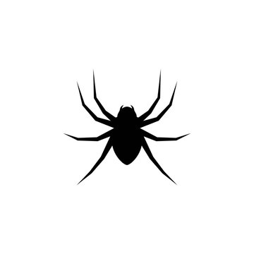 Black Spider logo template vector icon illustration