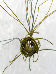 abstract picture with yellow twine texture