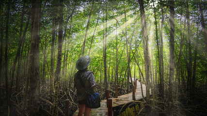Outdoor lifestyle traveler woman trail walking in wide nature tropical jungle mangrove tree forest...