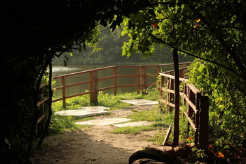 wooden bridge on the garden with sunlight shadow. wooden footpath,walkway on the park with sunlight shadow with full of trees on both sides