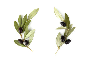 Top view of fresh black olive fruit with leaves as frame on white background.