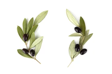 Fotobehang Top view of fresh black olive fruit with leaves as frame on white background. © vetre