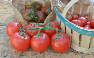 various tomatoes on paper bag or crate on a wooden table