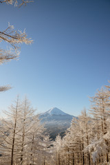 日本が世界に誇る名山