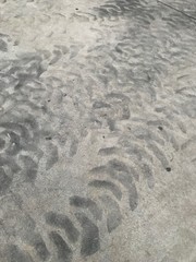 thick tire track stained pavement