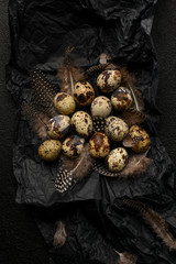 Quail eggs and feathers on black crumpled wrapping paper. A lot of spotty little eggs on a black textured background. Healthy food.