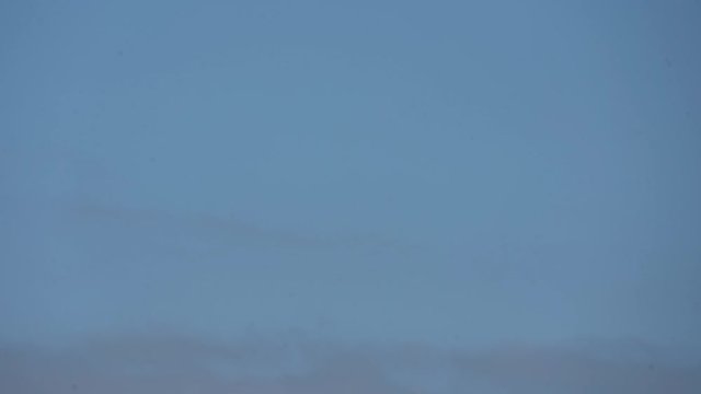 LAPD helicopter on Patrol Los Angeles