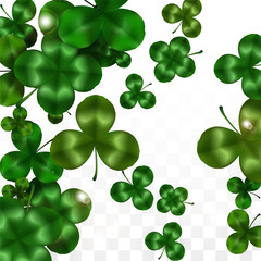 Vector Clover Leaf  Isolated on Transparent Background with Space for Text. St. Patrick's Day Illustration. Ireland's Lucky Shamrock Poster. Invintation for Concert in Pub. Top View. Success Symbols.
