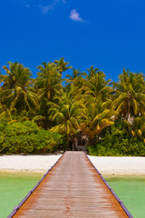 Naklejka na ściany i meble Tropical Maldives island