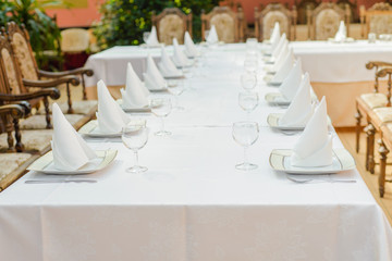 Long served table with plates, glasses, napkins and chairs