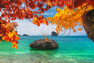 Beautiful nature scenic landscape beach in colorful autumn trees Andaman sea Krabi, Attraction...