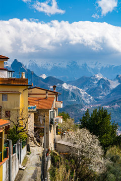 Carrara
