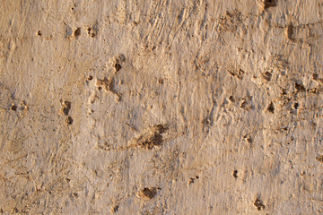 Wall for background. Main color Bronco, shade Brown. Cracks, tubercles, hollows.