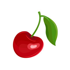 Red cherry in a vector on a white background. Garden berry with a leaf on the stem. Sweet fruit. Berry icon. Hand drawn vector illustration