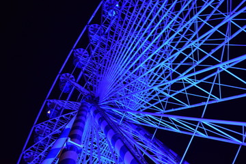 the ferris wheel 