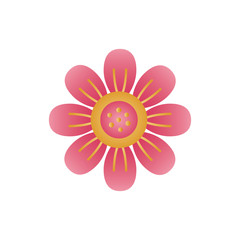 cute flower spring degradient style icon