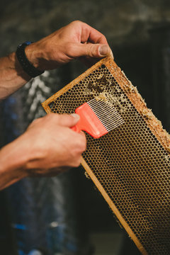 Apiculteur r&eacute;colte son miel