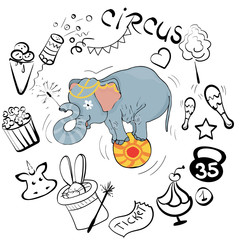 Vector illustration, circus elephant as acrobat, card concept, white background.