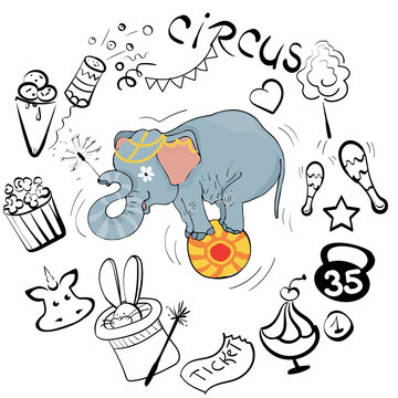 Vector illustration, circus elephant as acrobat, card concept, white background. © Natalia Voroshilova