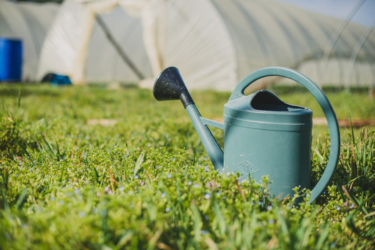 Arrosoir dans l'herbe devant une serre