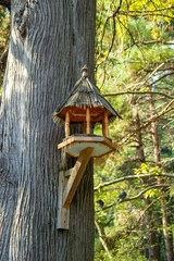 Birdhouse on a tree in the summer. the trunk of a fruit tree with a bird house. holiday concept International Bird Day.