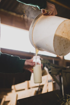 Agricultrice pr&eacute;pare un biberon de lait chaud