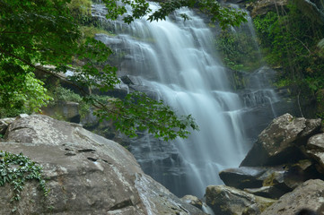 Obraz premium Forest Stream and Waterfall in national park Kradueng,Thailand 