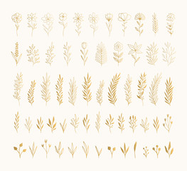 Set of hand drawn golden herbs, flowers, leaves. Vector isolated illustration.