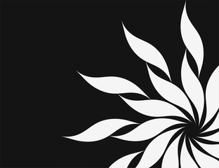 abstract star photo frame line background.vector design.