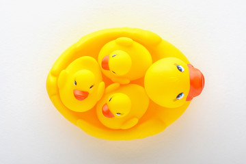top view of family of yellow toy ducklings on white background