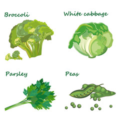  Fresh vegetables, vegetarianism. Vector illustration. - 324208198